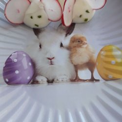 jajeczne myszki igorek